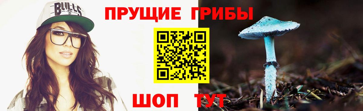 Минеральные Воды  Псилоцибиновые грибы мицелий  где купить   Вход с VPN 